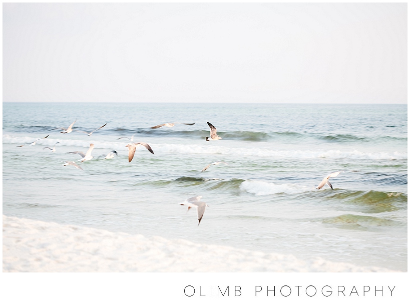 ConsidertheBirds00001