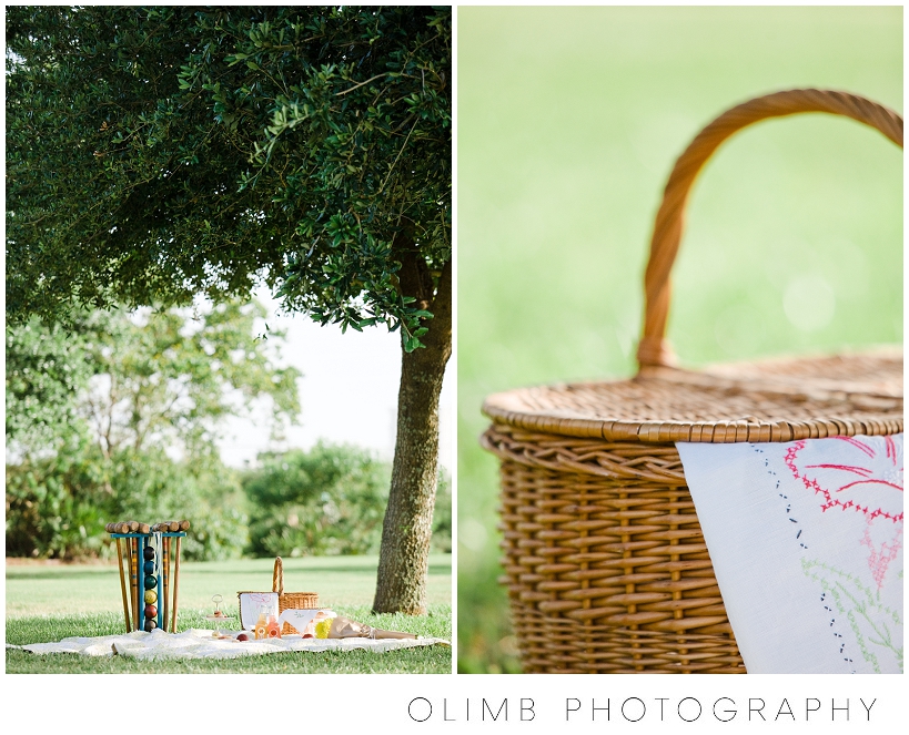 NationalPicnicDay00003