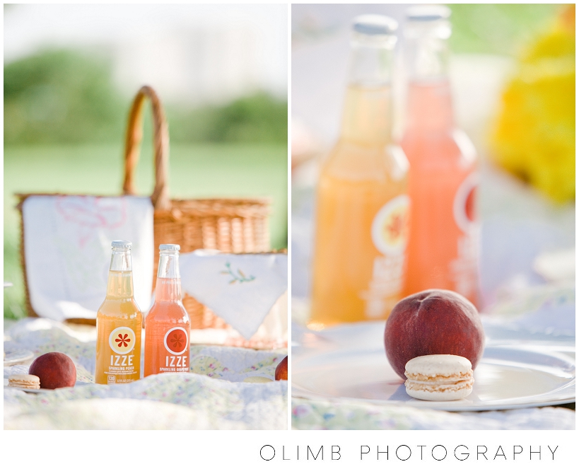 NationalPicnicDay00005
