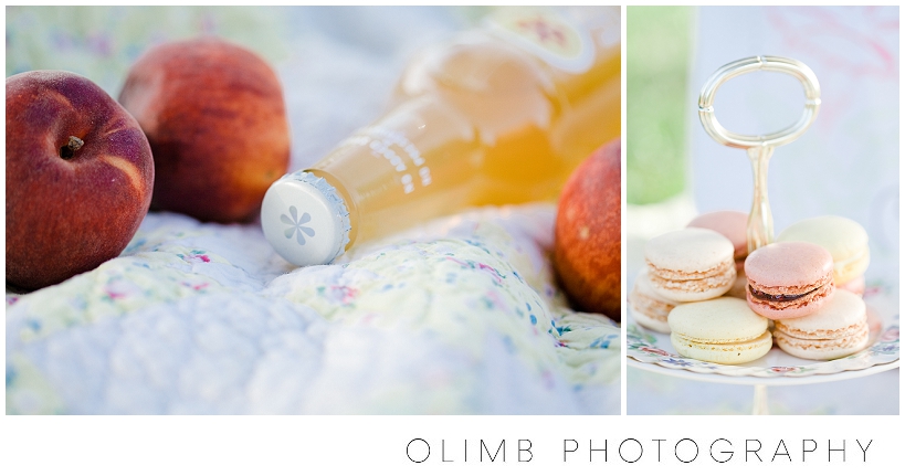 NationalPicnicDay00022