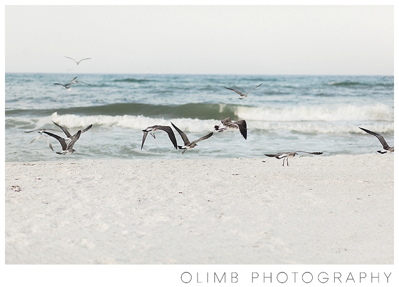 Olimb-Photography-Blog-0001