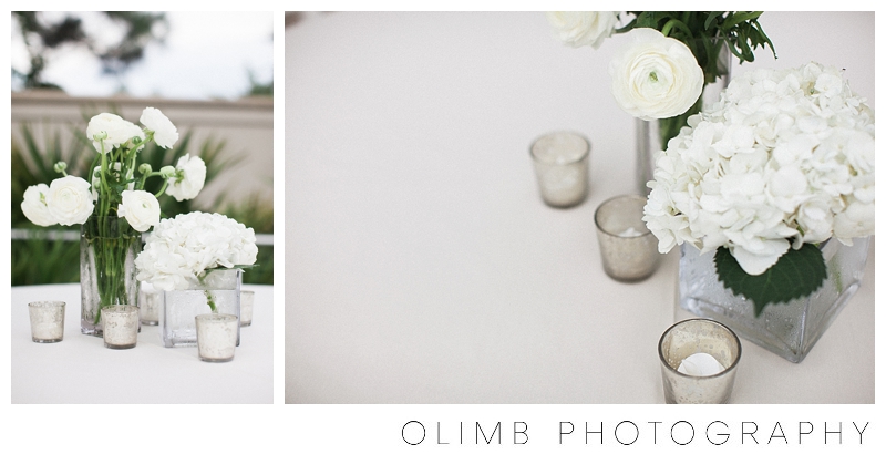 Olimb-Photography-LJWedding-Blog-0034