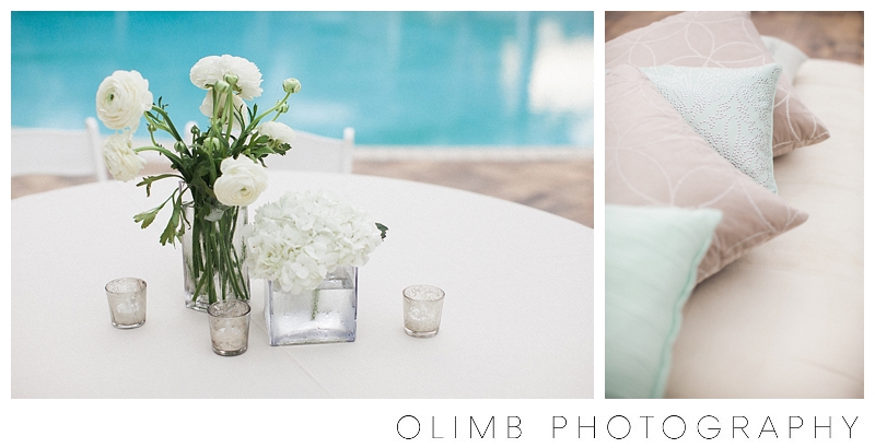Olimb-Photography-LJWedding-Blog-0037