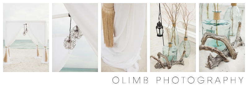 Olimb-Photography-LJWedding-Blog-0084