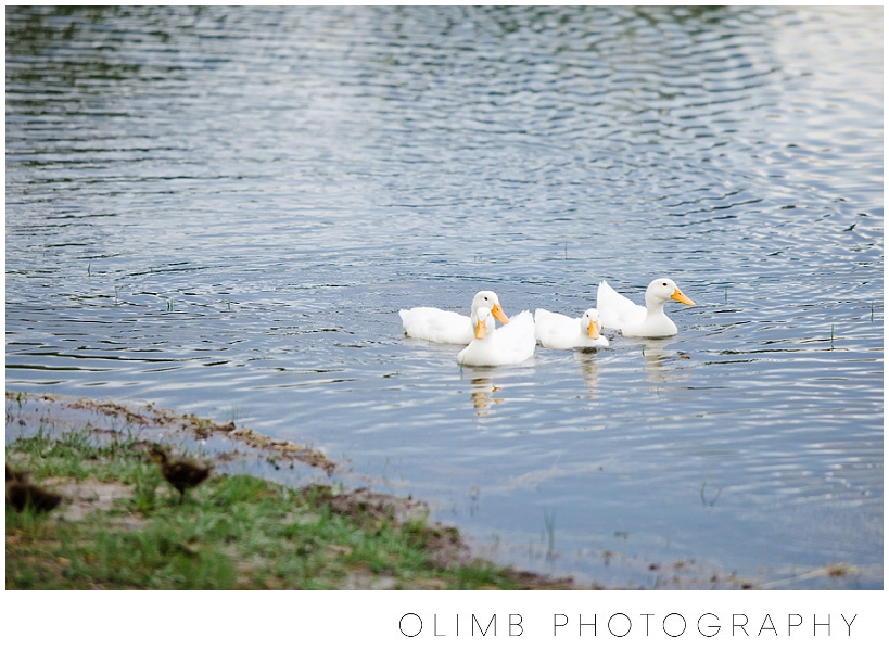 OlimbPhotography-CourtneyTravisWedding00046