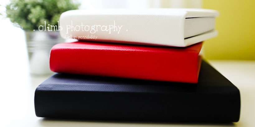 kissbooks2